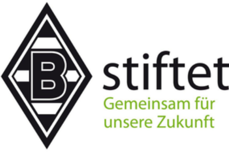 Borussia-stiftet