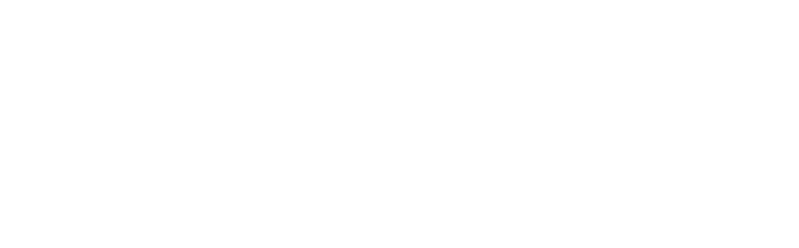 Logo für Förderung der Anneliese Brost-Stiftung